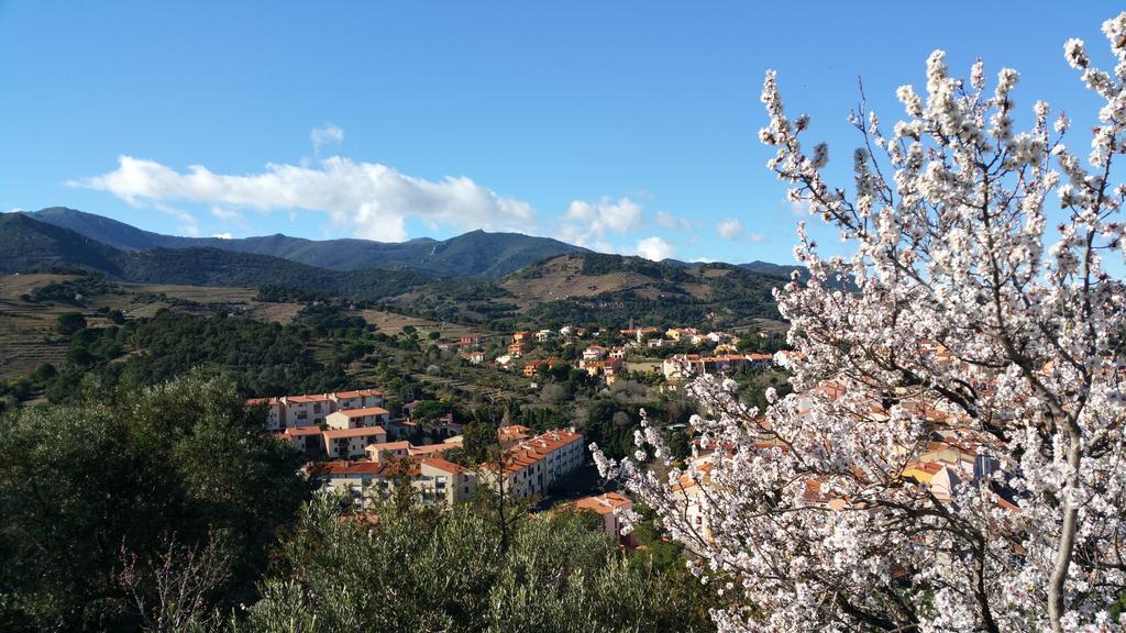 Chambres D'Hotes Et Gites Al Pati Sorede Bagian luar foto